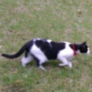 Meet your Posher, Jacob